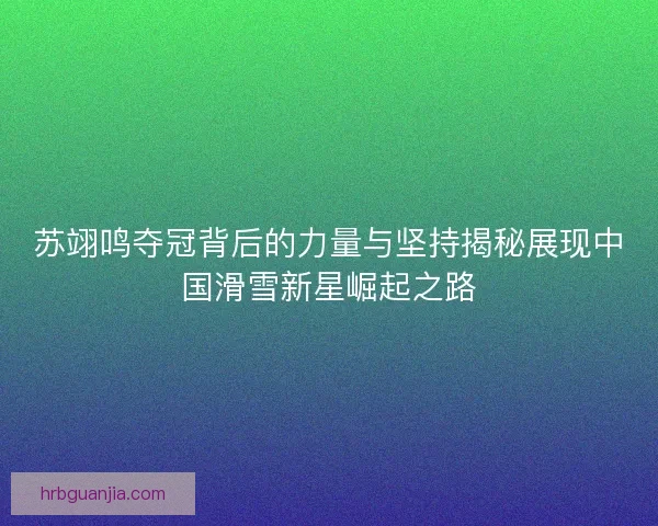 苏翊鸣夺冠背后的力量与坚持揭秘展现中国滑雪新星崛起之路 苏翊鸣夺冠背后的力量与坚持揭秘展现中国滑雪新星崛起之路
