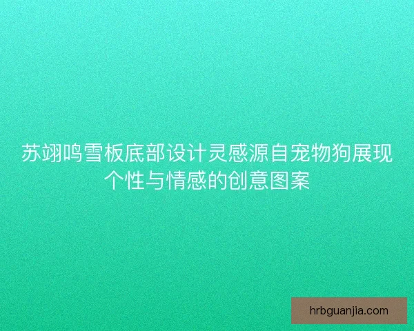 苏翊鸣雪板底部设计灵感源自宠物狗展现个性与情感的创意图案 苏翊鸣雪板底部设计灵感源自宠物狗展现个性与情感的创意图案